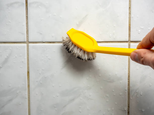 Best Mold Cleaning Services  in Lake Holiday, VA
