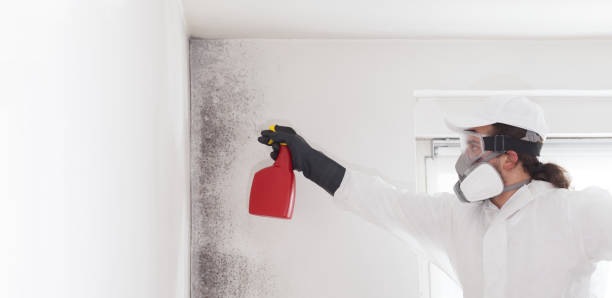 Best Mold Removal Near Me  in Lake Holiday, VA