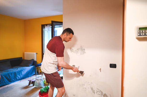 Best Mold Removal Near Me  in Lake Holiday, VA